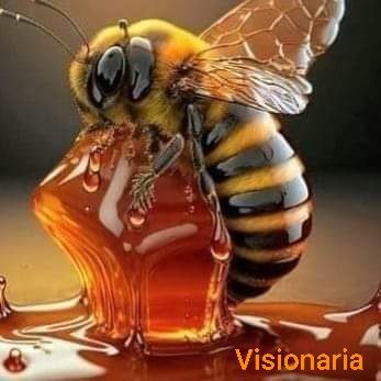 Visionaria * Visiones Infinitas