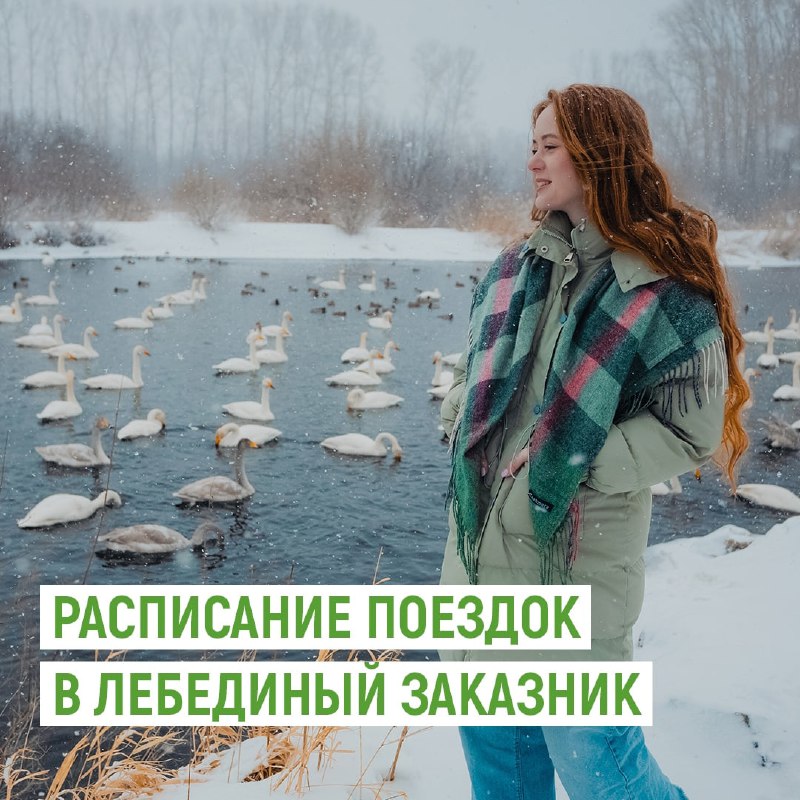 ***🦢*** Делимся списком туроператоров, у которых …