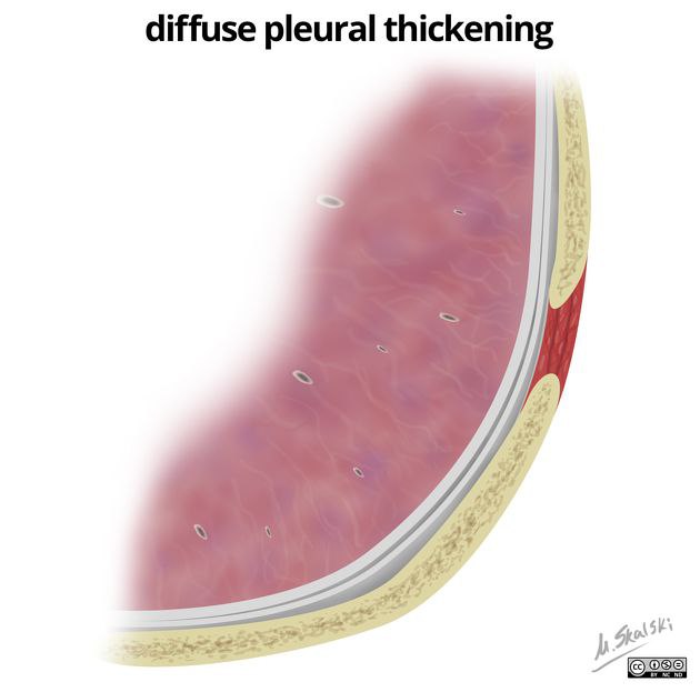 Visual Medlearn