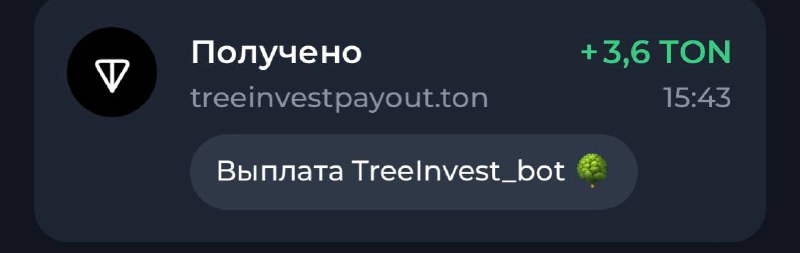 ***🌳*****Вчера залетел очередной вывод с проекта** …