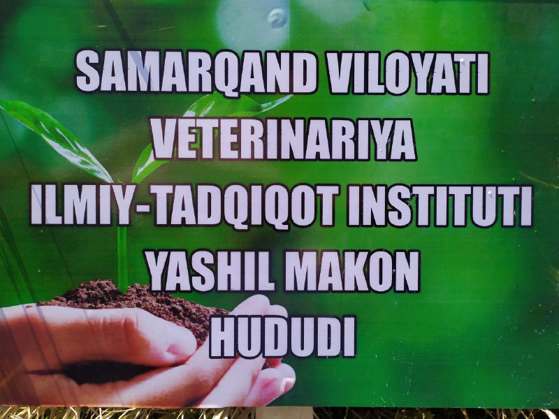 Veterinariya ilmiy-tadqiqot institutining rasmiy telegram kanali