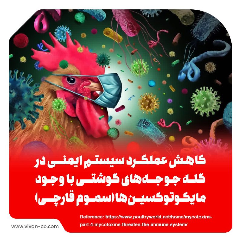 *****?️*** کاهش عملکرد سیستم ایمنی در …
