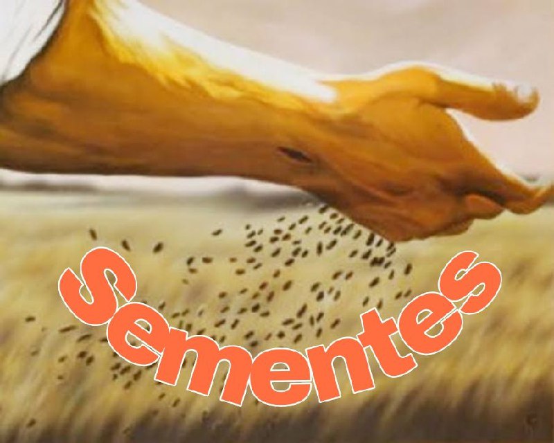 **SEMENTES**