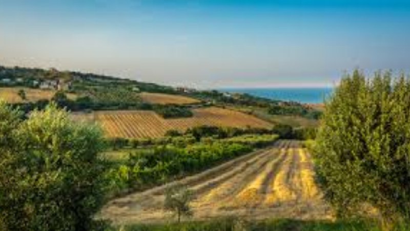 Le Marche e i Gal: il …