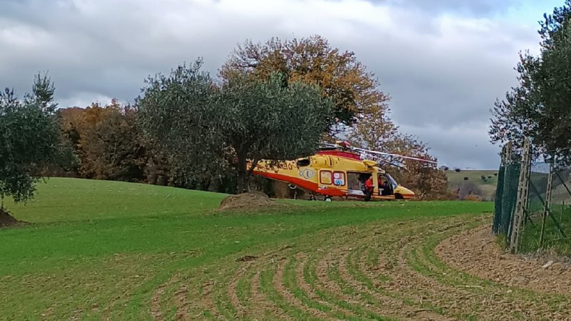 Incidente con il bobcat a Pitino: …