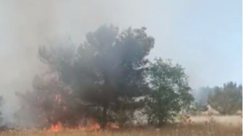 Vigili del Fuoco in azione a Spinazzola: Domato incendio di 150 ettari a Monte Caccia