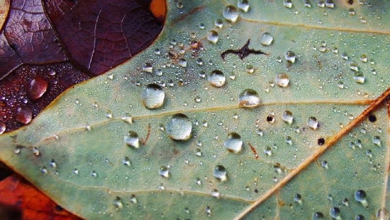 METEO Umbria: le previsioni per mercoledì …