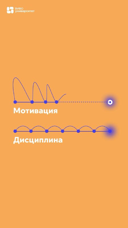 ВИВО Университет