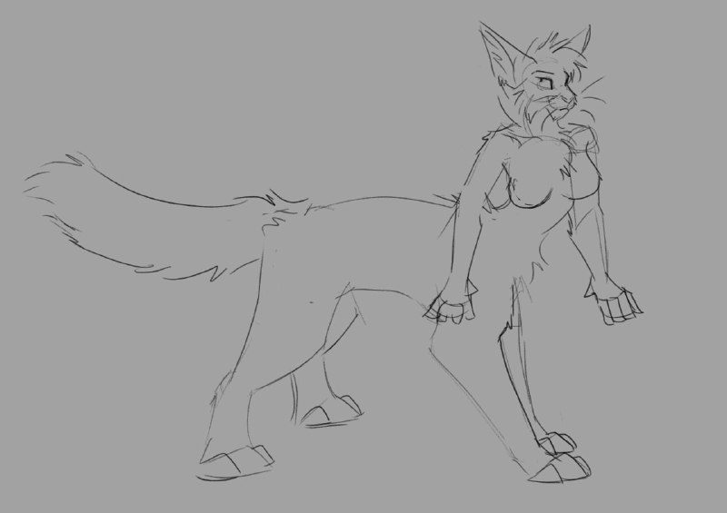 taur