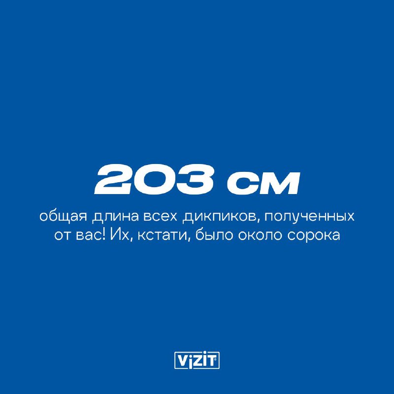 VIZIT