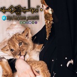 تبادل نشر+اشتراك ***?******?***