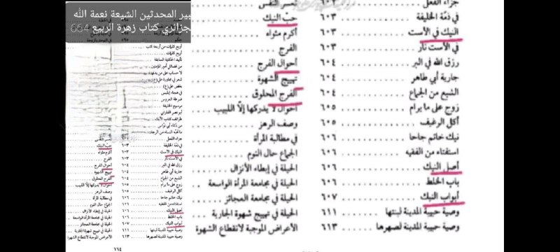 **نعمة الله الجزائري من كبار علماء …