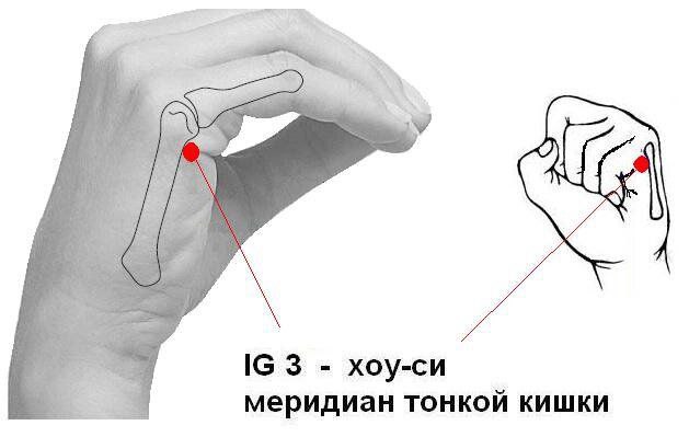 Начну сегодня день с кинезиологии и …