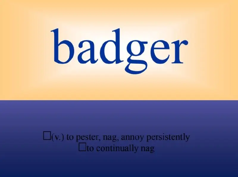 **badger** ***✨***