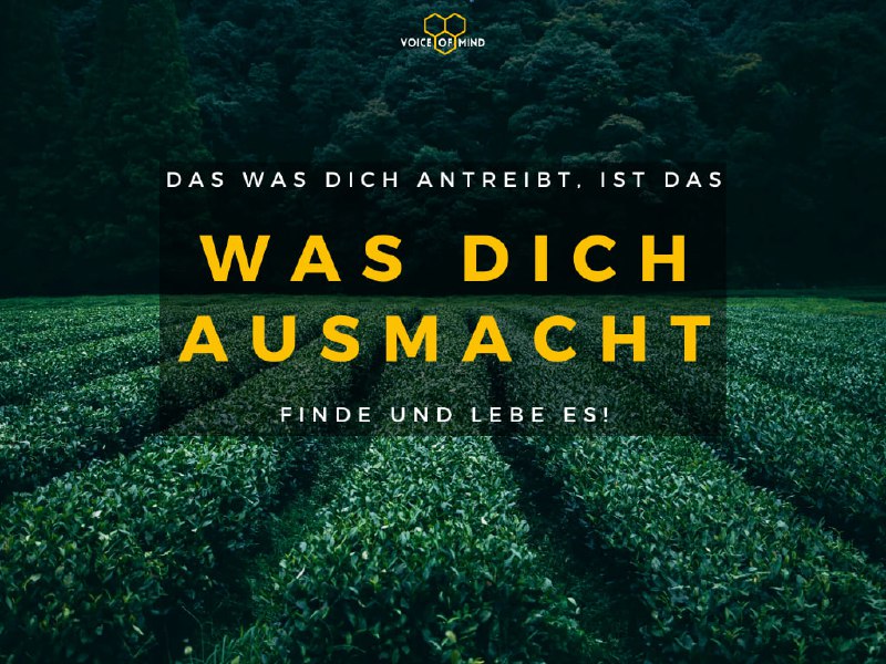 **Das was dich antreibt...**