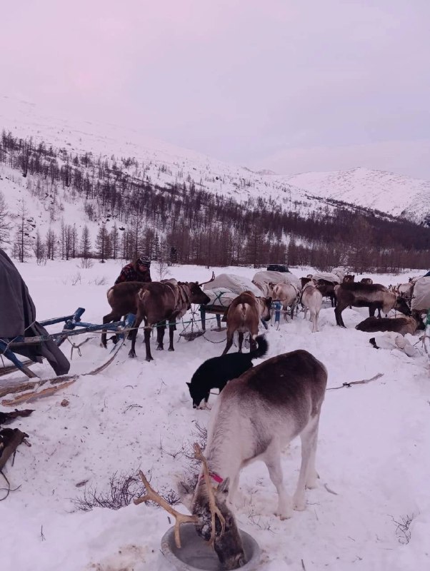 Жизнь на Севере…