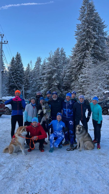 VOKUEVA TEAM