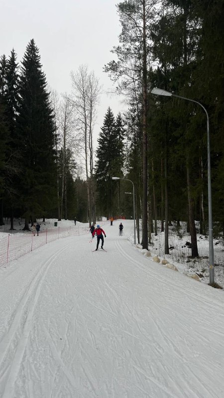 VOKUEVA TEAM