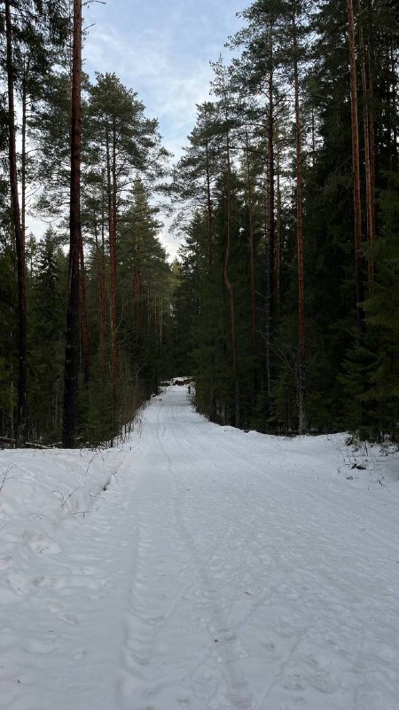 VOKUEVA TEAM