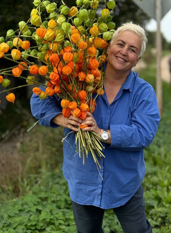 Краски осени***🧡******🧡******💙***