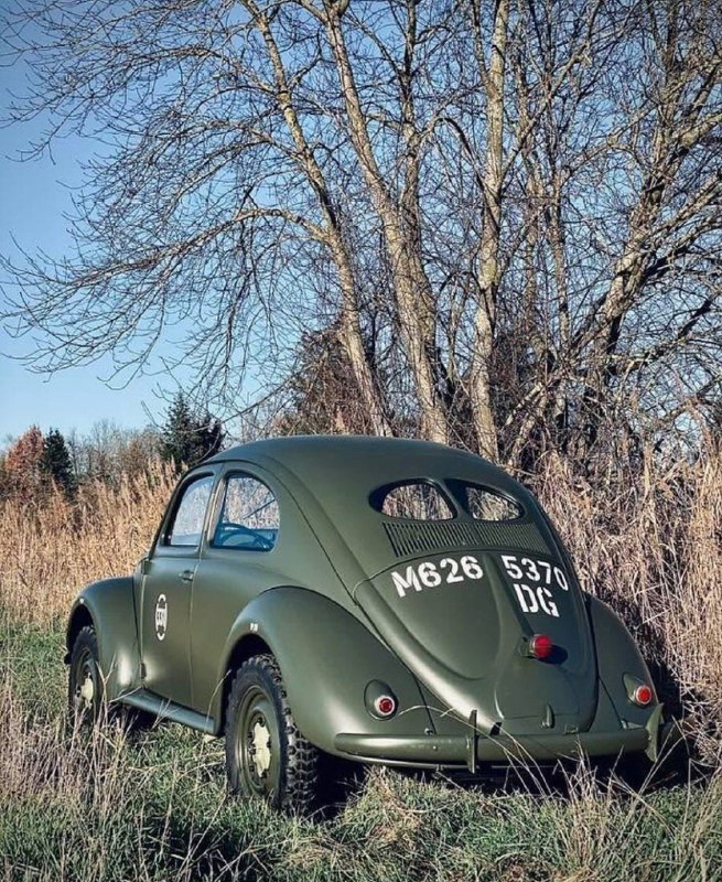 [@VolksWagenBeetle](https://t.me/VolksWagenBeetle)