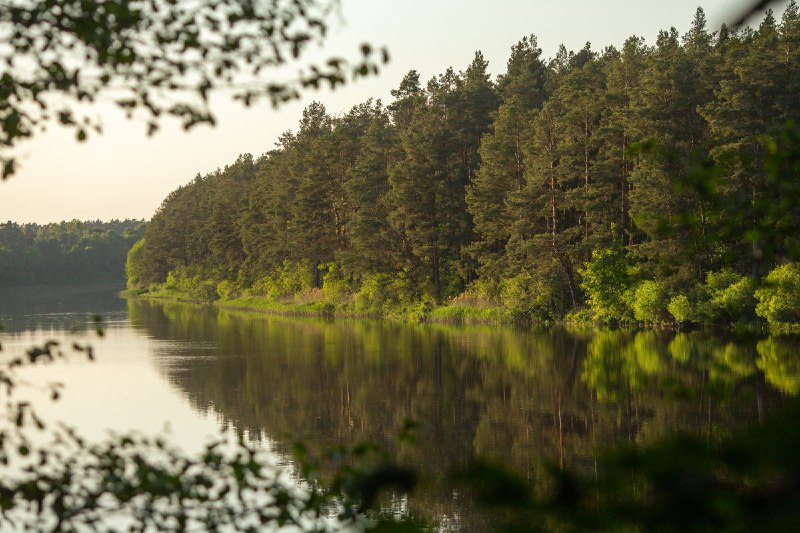 ***💬*** **Кніжны клуб. Абмяркоўваем твор "Над …