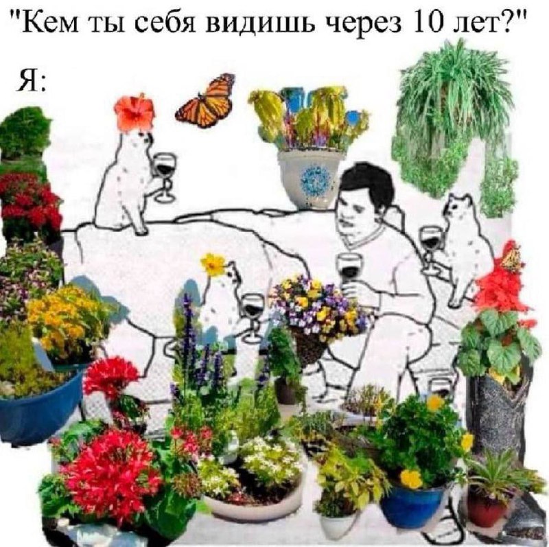 воображариум