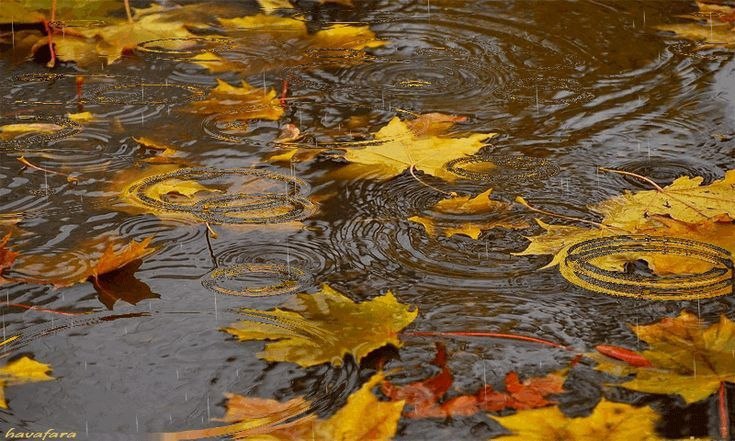 *****?*** Эртага водийнинг уч вилоятида кун …