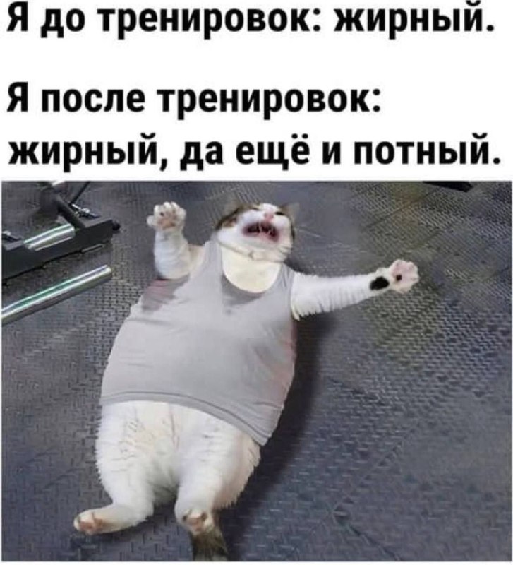 [Вор мемасов***🥴***](https://t.me/vormemov56)