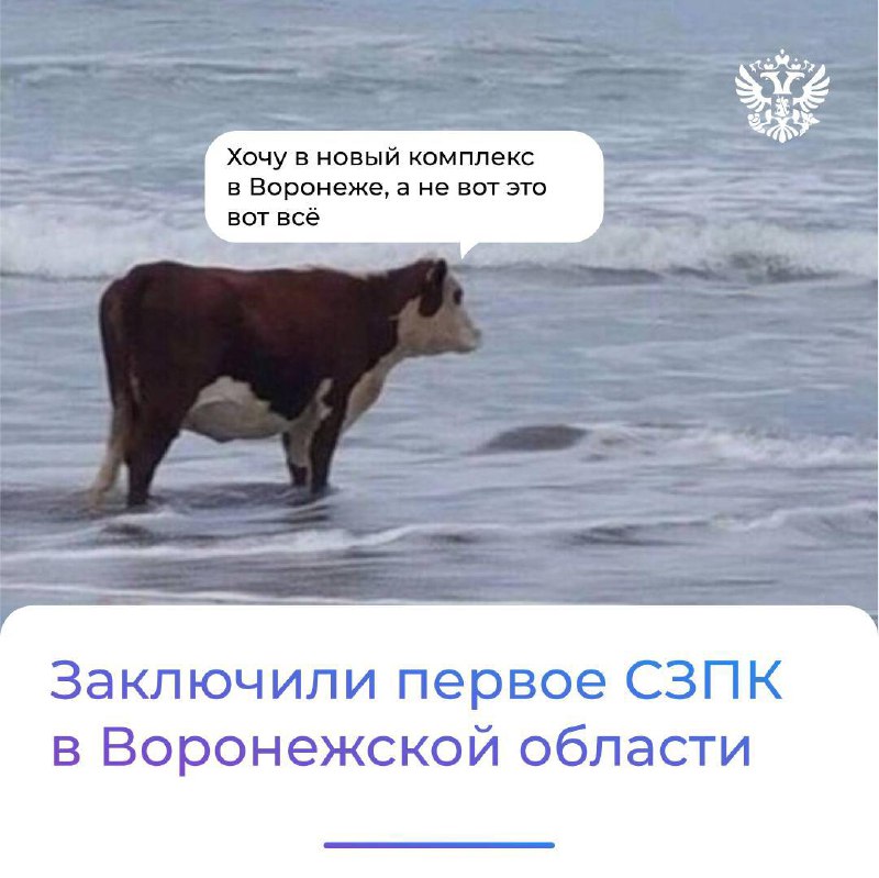 ***🥛*****Целое озеро для ваших утренних капучино …