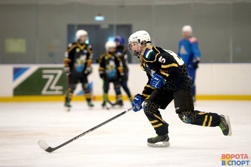 Очередной игровой день «Ледяных пчел» ***🏒***