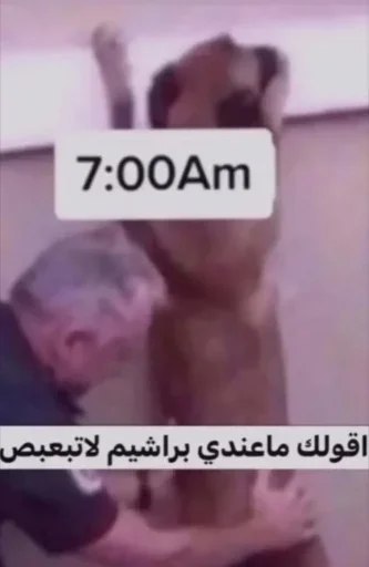 حي التنك
