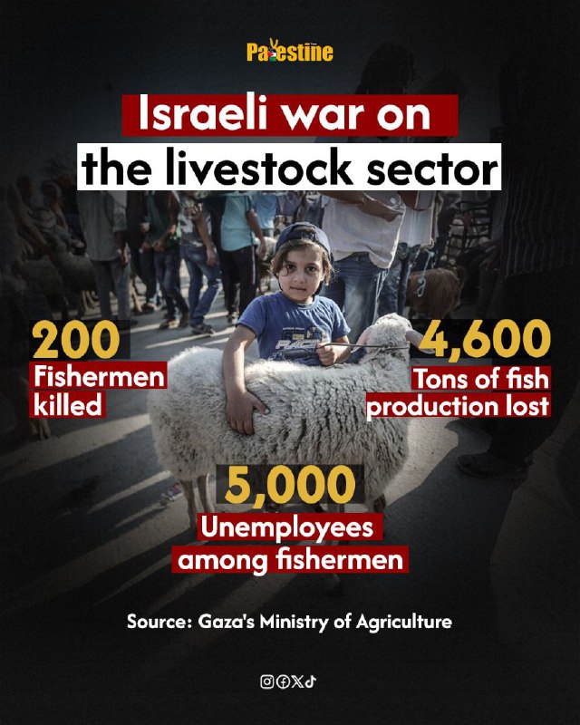 The Ministry of Agriculture in Gaza …