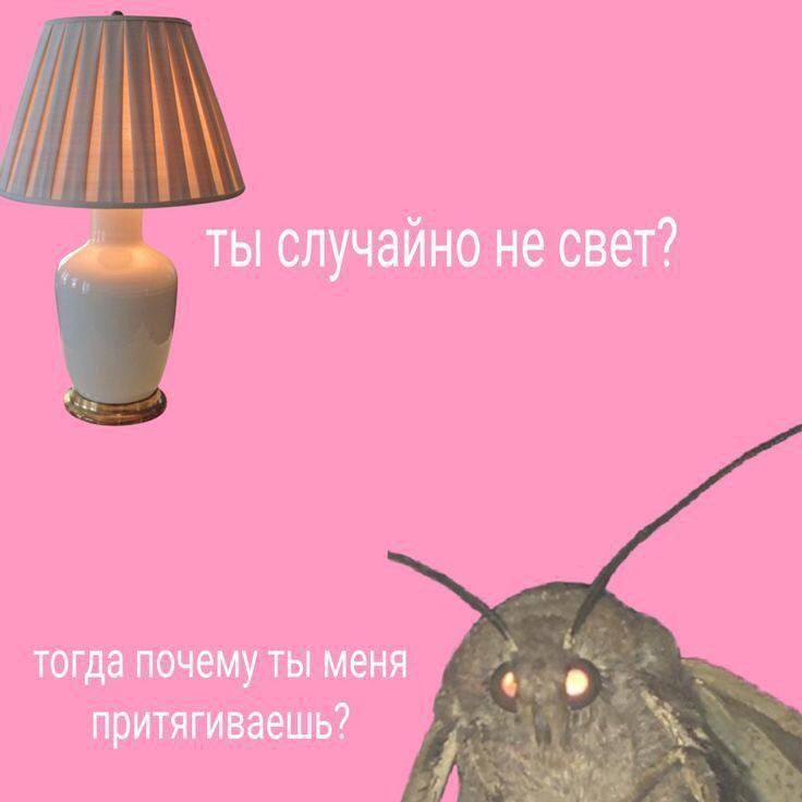 *С днем всех влюбленных, дорогие мои*****🥰********🥰********🥰****