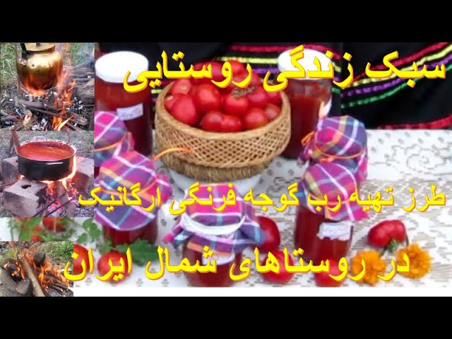 غذاهای گیاهی و سلامت ‌