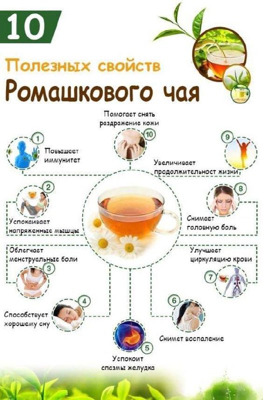 ***🌱*****Вся польза ромашкового чая в одной …