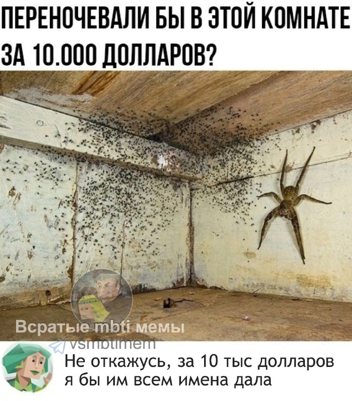 От чего вы никогда не откажетесь?