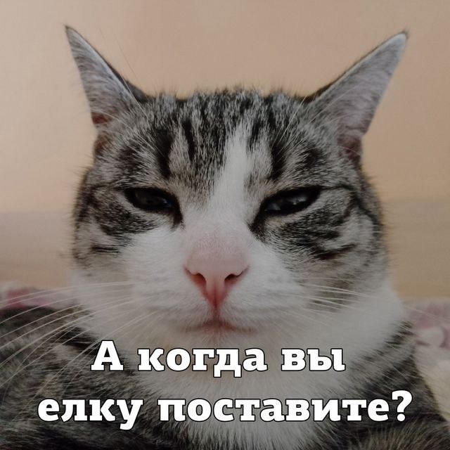 Никто: