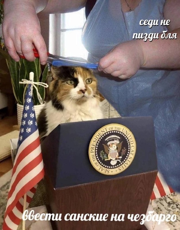 Make Ameowrica great again!