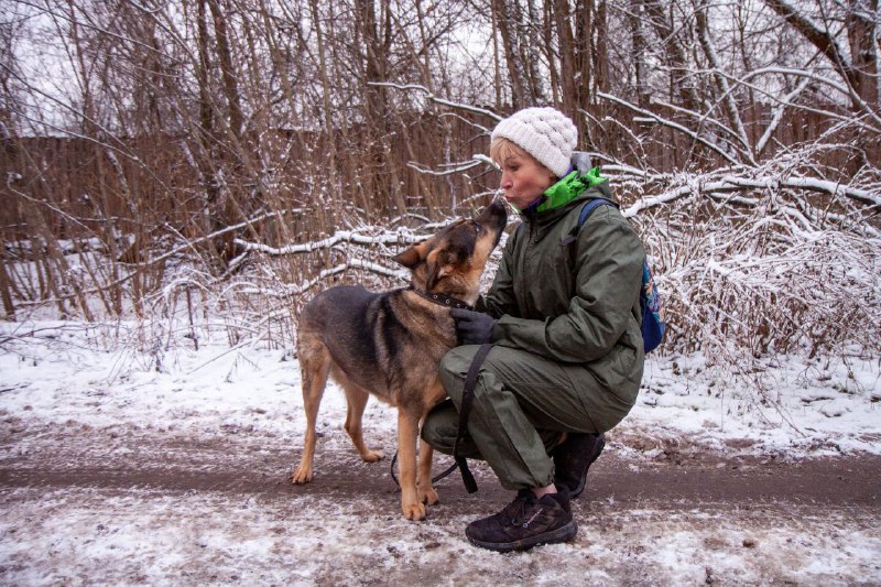 Приют "Домашний": "Выбери меня!"