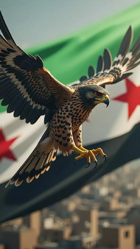 ملحقات ♫𝐖𝐋𝐄𝐄𝐃ـ᧑⃟ 🇸🇾