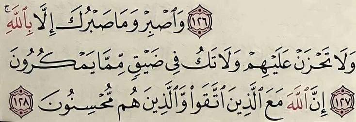 وَدق