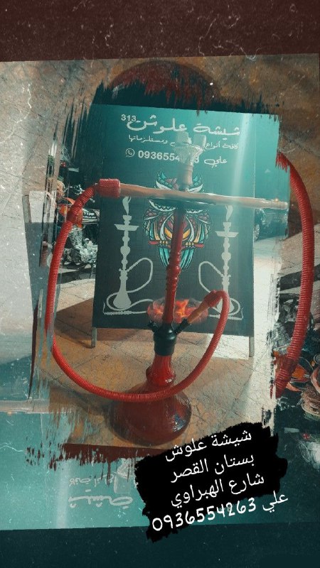 الشي الحلو ولا اكابر ***?***