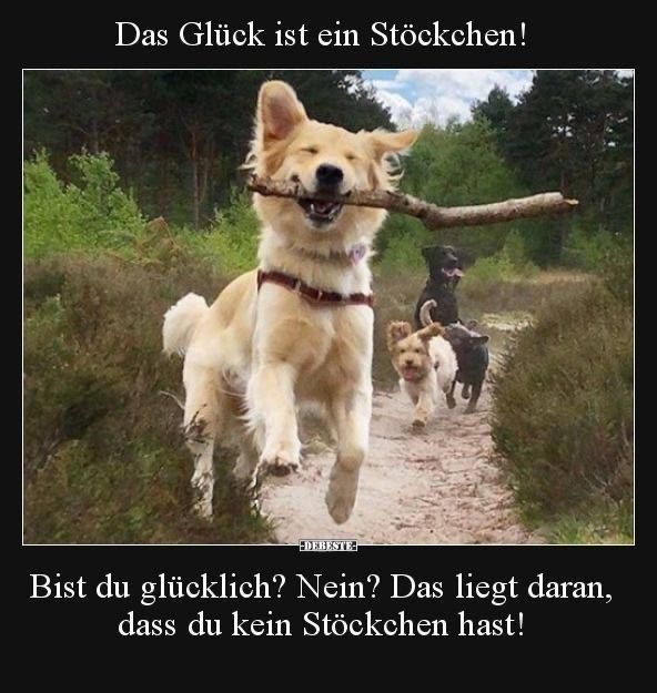Rattenfänger