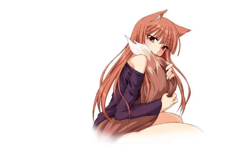 **Holo (Spice and Wolf)**