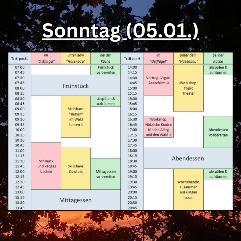 Wald statt Asphalt - Info-Channel 🌳✊