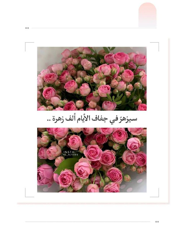 منوعات راقية©^🇾🇪🇵🇸