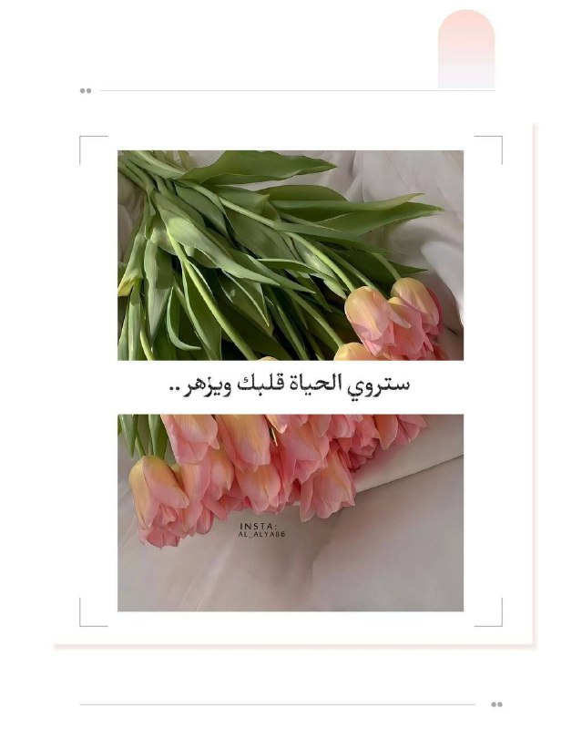 منوعات راقية©^🇾🇪🇵🇸