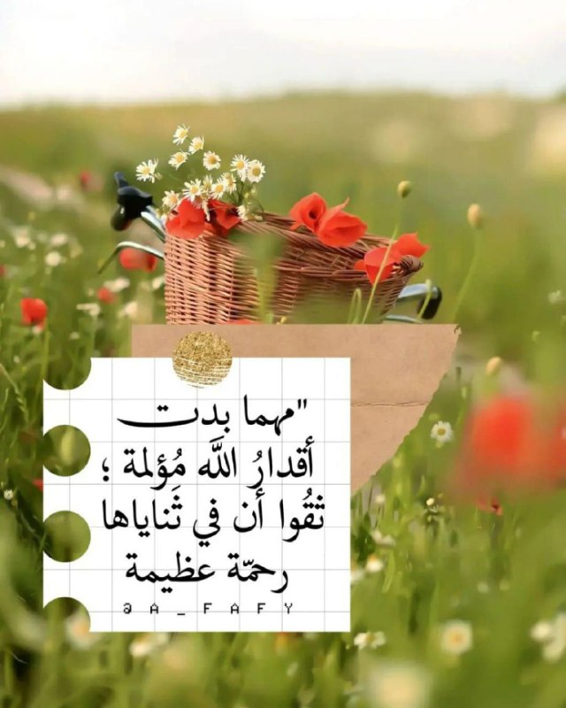 منوعات راقية©^🇾🇪🇵🇸
