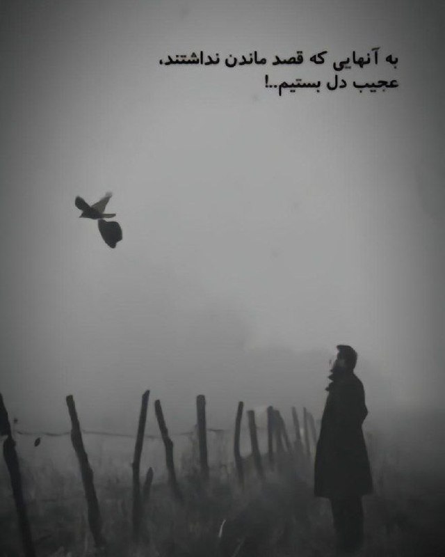 **به آنهایی که قصد ماندن نداشتند،